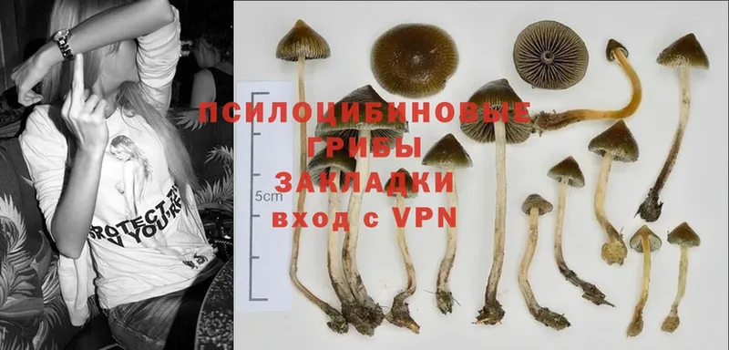 Галлюциногенные грибы Cubensis  Алапаевск 